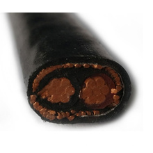 Flat XLPE Insulated Copper Concentric Cable